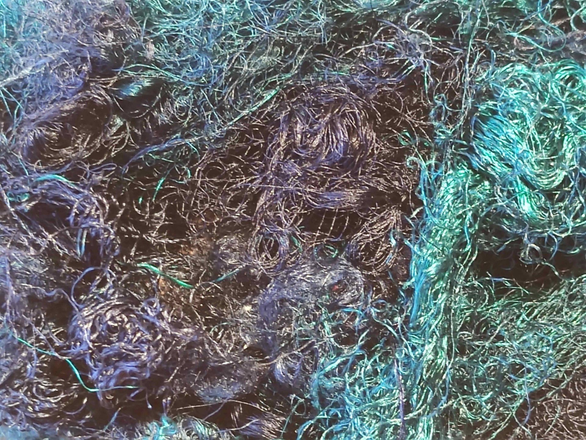 Ocean