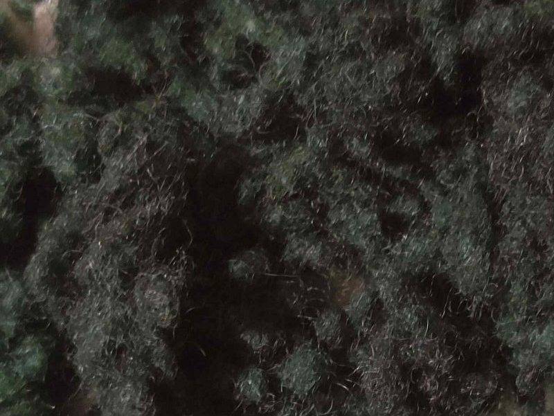 Moss green